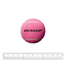 5 Inch Mini Tennis Ball PinkTienda Tennis