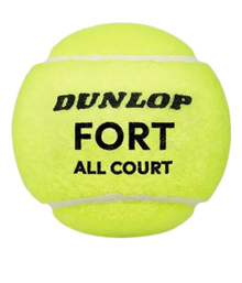 Bote de Balls  Dunlop Fort All Court