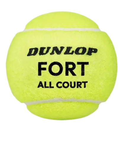 Box Balls  Dunlop Fort All Court (Pack x24)