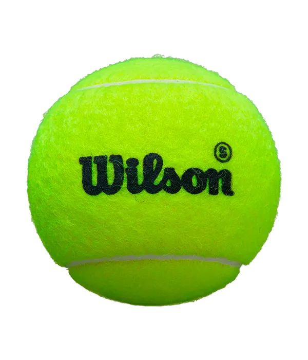 Balls  Wilson Padel Premier Speed (Pack x3)