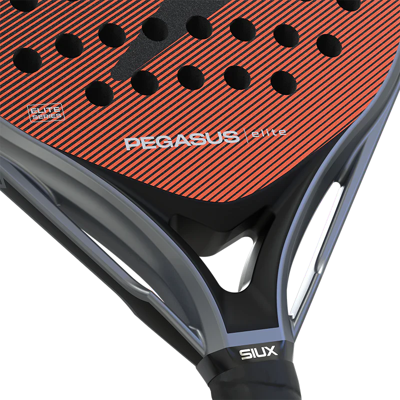 Siux Pegasus Elite 4 2026 Padel Racket